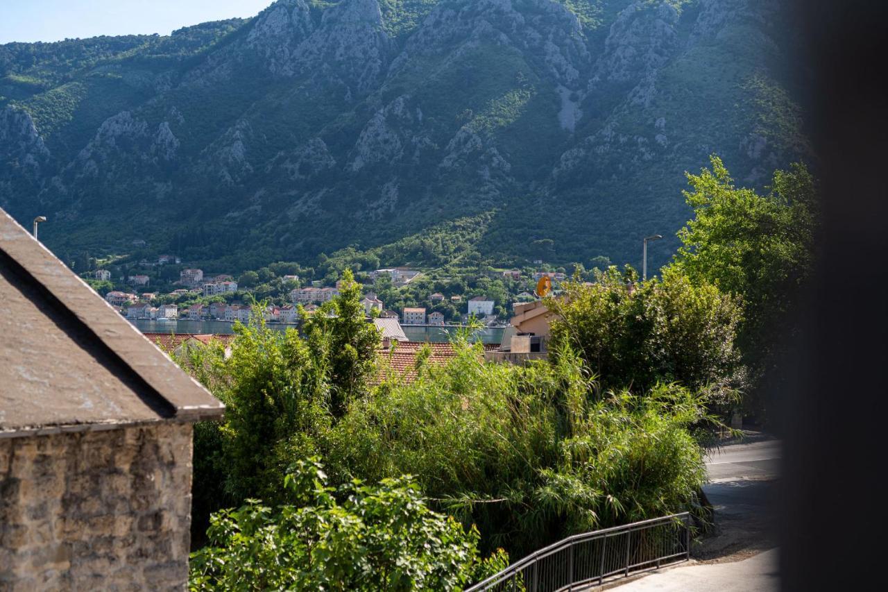 C Group Apartments Kotor Kültér fotó